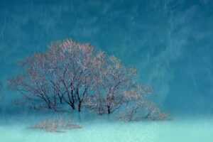 do you have any side dishes with poziukri