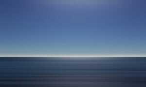 what to serve with wantrigyo