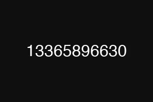 13365896630