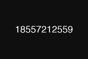 18557212559
