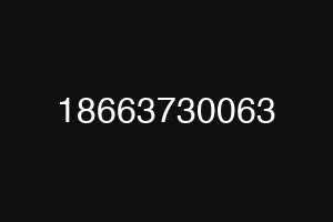 18663730063