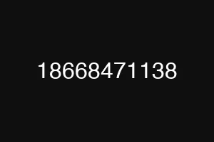 18668471138