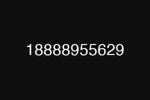 18888955629