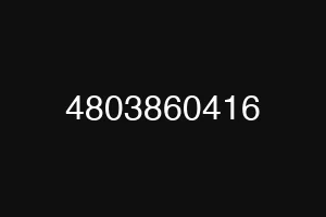 4803860416