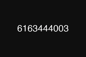 6163444003