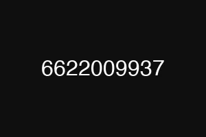 6622009937