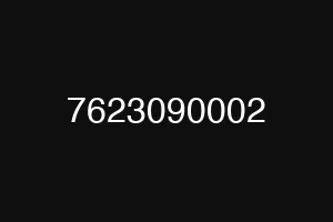 7623090002