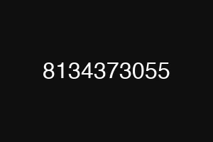 8134373055