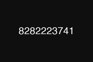 8282223741