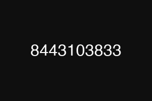 8443103833