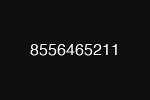 8556465211