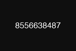 8556638487