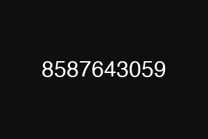 8587643059