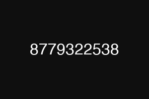 8779322538