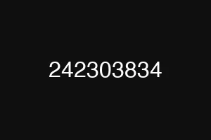 242303834