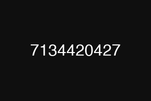 7134420427