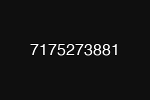 7175273881