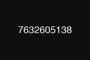 7632605138