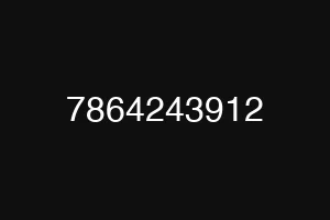 7864243912