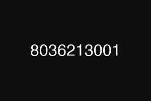 8036213001
