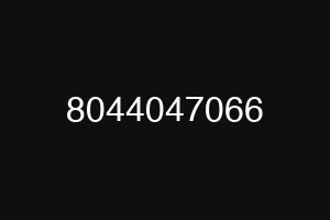 8044047066