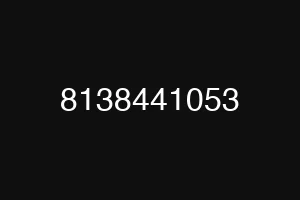 8138441053