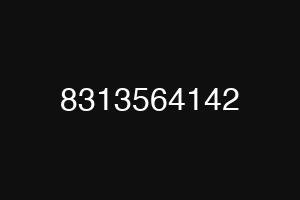 8313564142