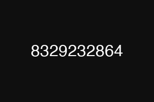 8329232864
