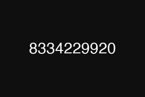 8334229920