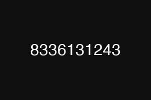 8336131243