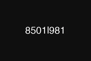 8501l981