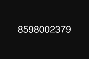8598002379