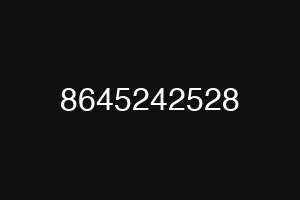 8645242528