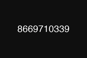 8669710339