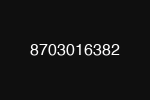 8703016382