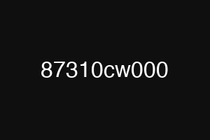 87310cw000