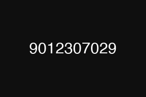 9012307029