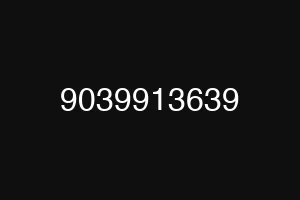 9039913639