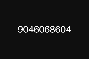 9046068604