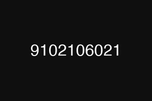 9102106021