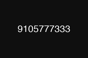 9105777333