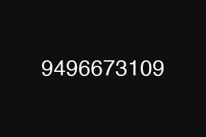 9496673109