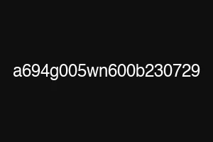 a694g005wn600b230729