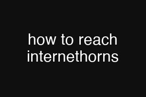 how to reach internethorns